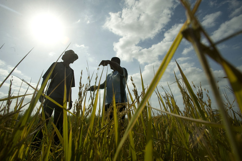 Photo Credit - Jeffrey Barbee/Thomson Reuters Foundation