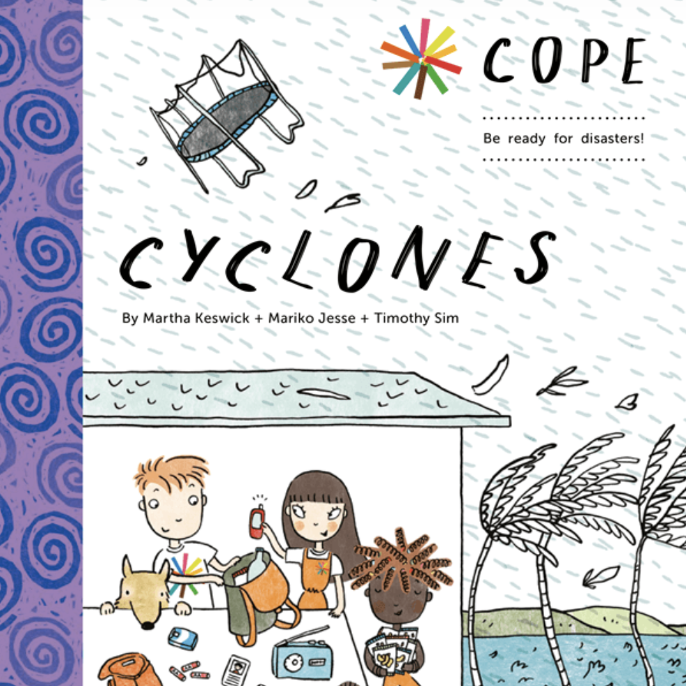 Cover of the Cyclones book