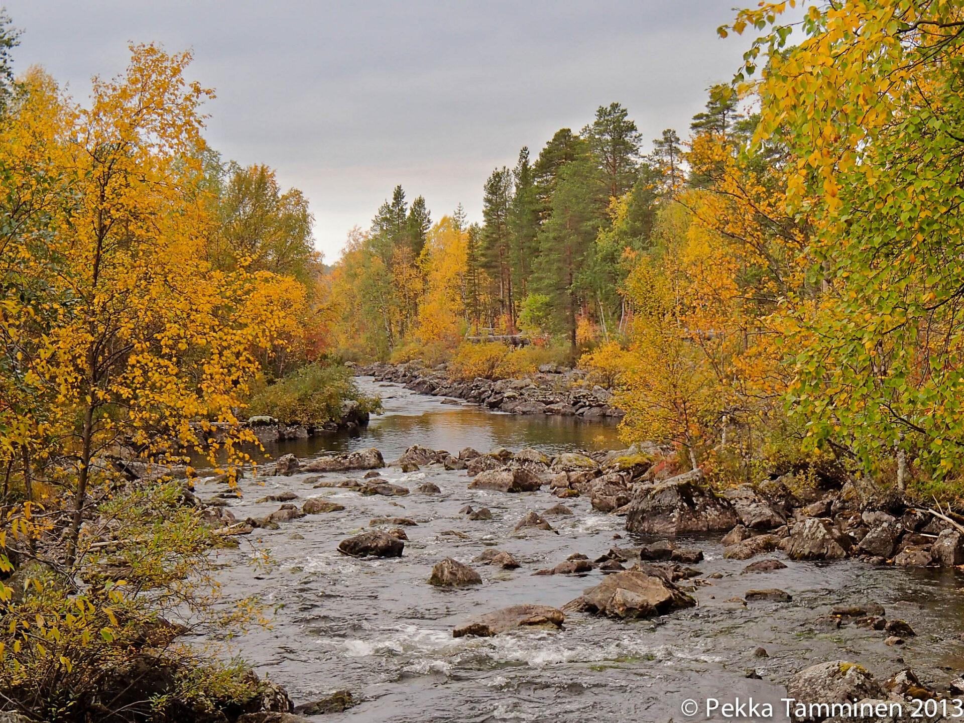 Picture credit: Pekka Tamminen