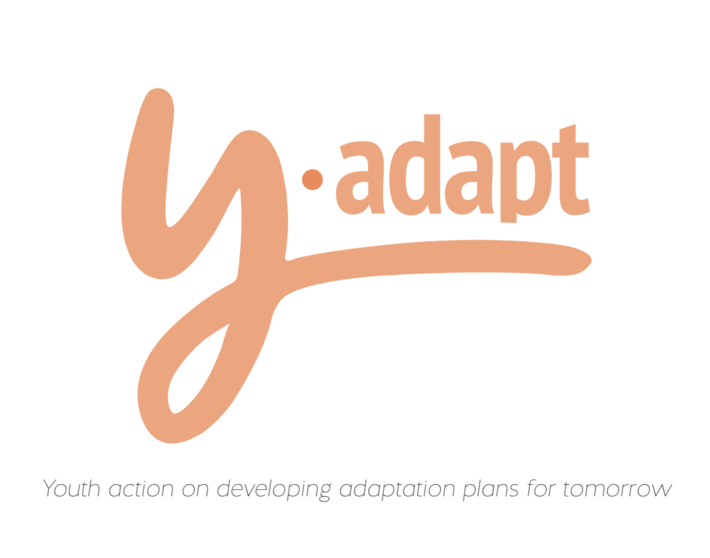 Y-Adapt