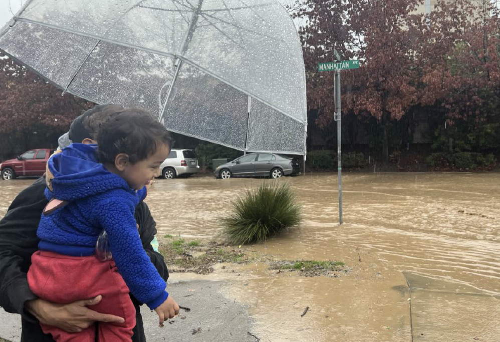 Flooded park
