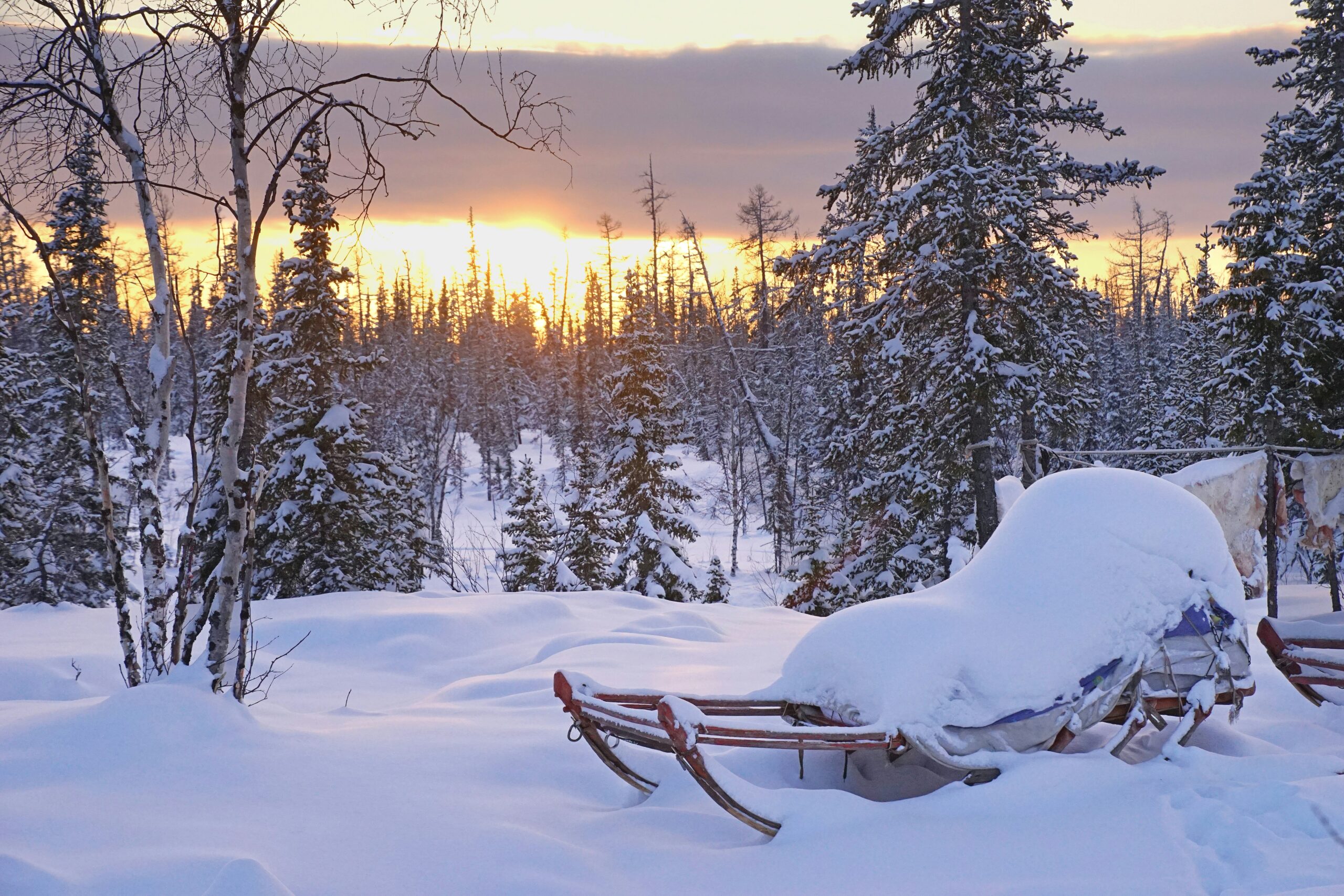Photo by Hans-Jurgen Mager on Unsplash