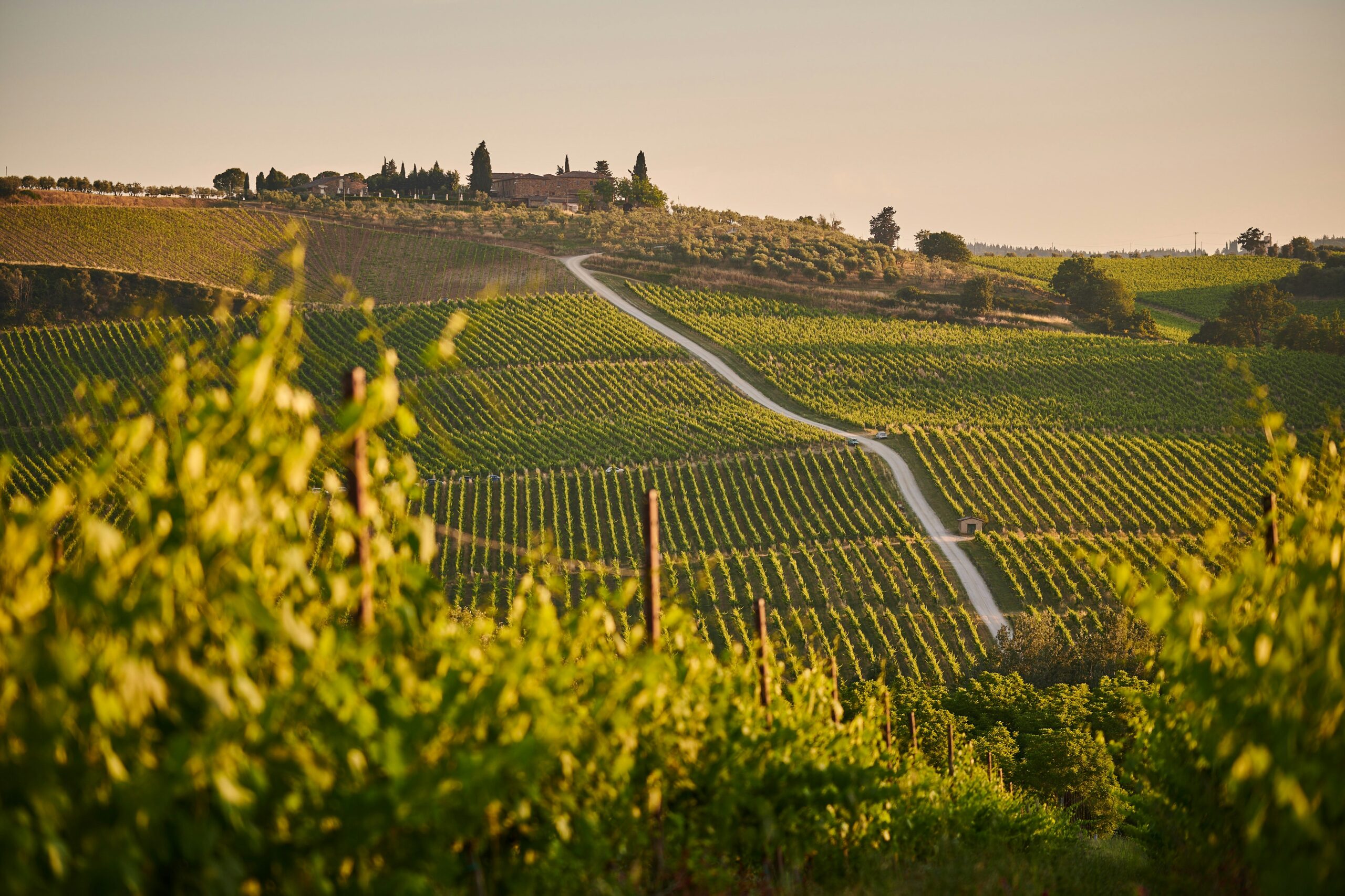 Photo by Johny Goerend on Unsplash