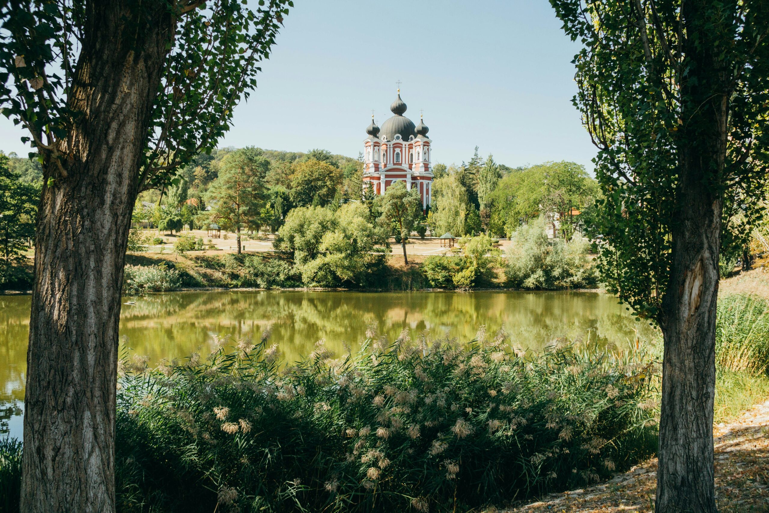 Photo by Oksana Simanovscaia on Unsplash