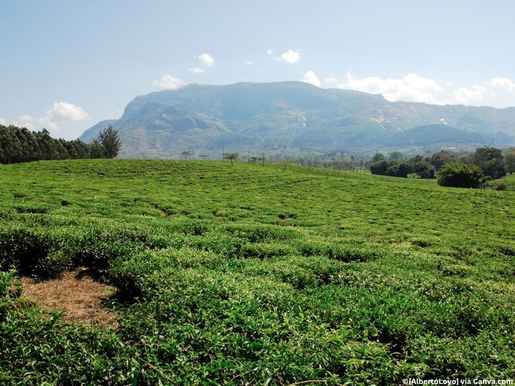 Mozambique